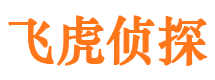 广宁市出轨取证